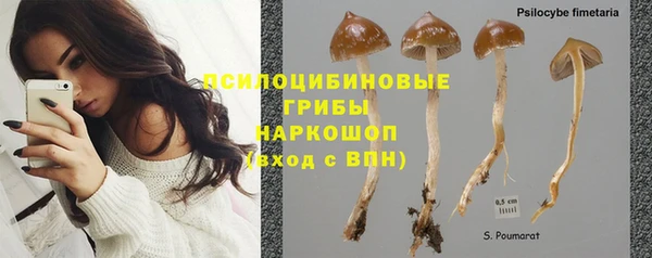 2c-b Волосово