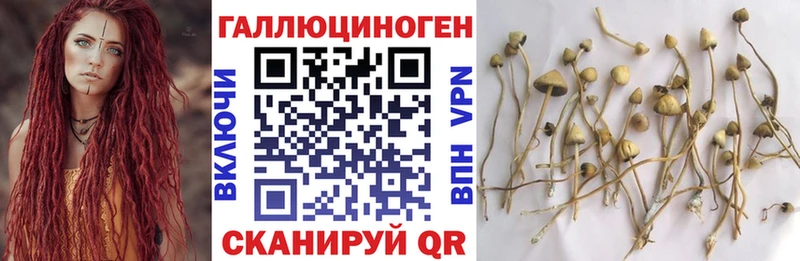 Галлюциногенные грибы Psilocybine cubensis  цена наркотик  Оха 